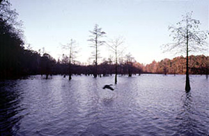 Big Hill Pond State Park