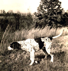 National Field Trial