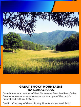 Great Smokey Mountains